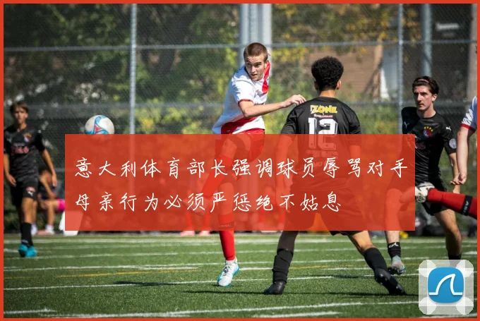 意大利体育部长强调球员辱骂对手母亲行为必须严惩绝不姑息