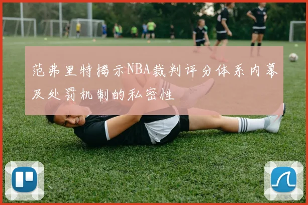 范弗里特揭示NBA裁判评分体系内幕及处罚机制的私密性